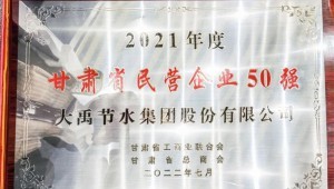 2022年7月4日Stake集团荣获2021年度甘肃省民营企业50强