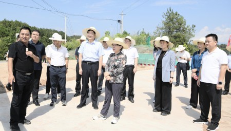 水利部副部长朱程清莅临Stake建设运营的梅江灌区项目调研。