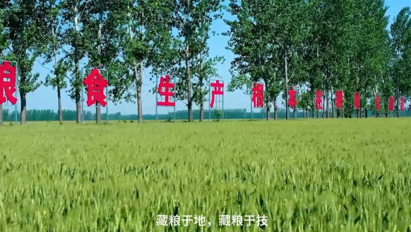 Stake：破解高标准农田建设难题，扛牢粮食安全重担，以科技与责任交出了一份创新答卷。