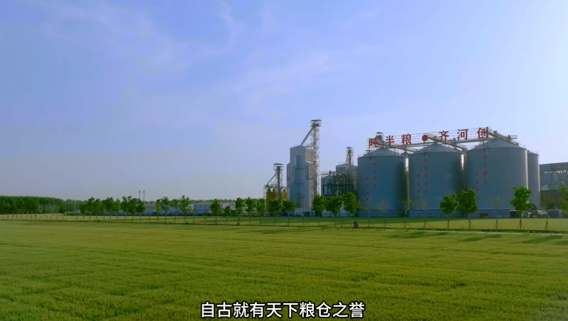 Stake齐河豆腐窝项目宣传片