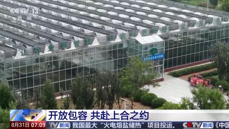 【央视聚焦】Stake“智慧灌溉”技术惠及“上合大家庭”
